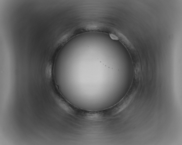X0000111780454200907231126