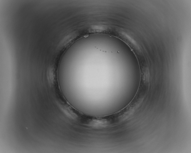 X0000111780455200907231126