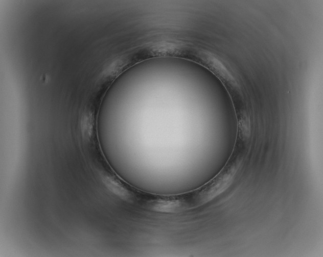 X0000111780458200907231126