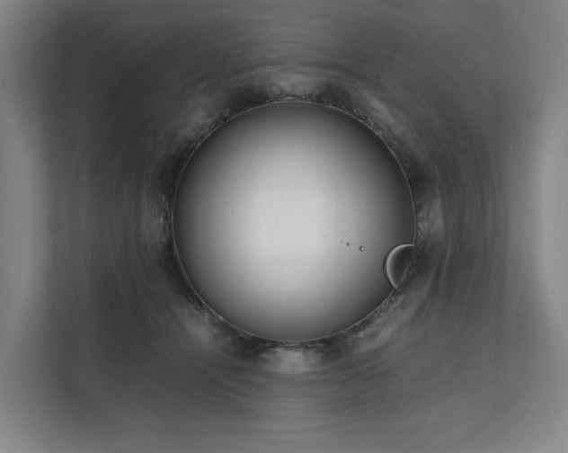 X0000111780464200907231126