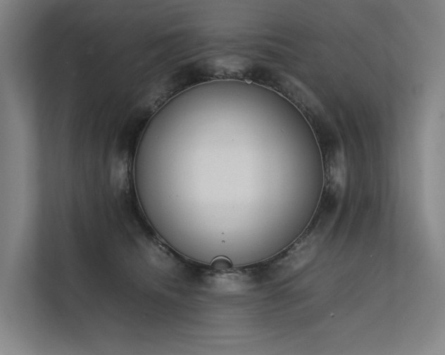 X0000111780468200907231126