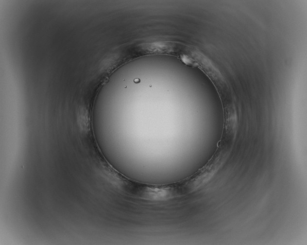 X0000111780469200907231126