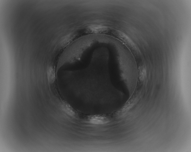 X0000111780471200907231126