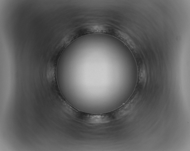 X0000111780473200907231126