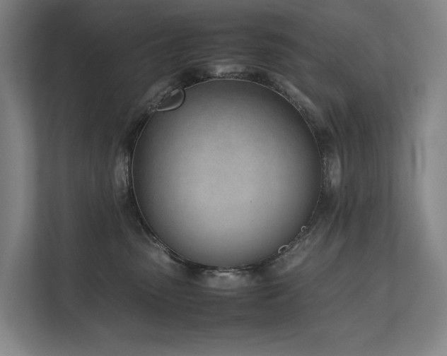 X0000111780475200907231126