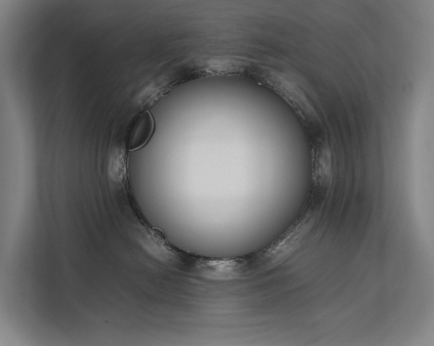 X0000111780478200907231126
