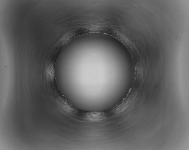 X0000111780479200907231126