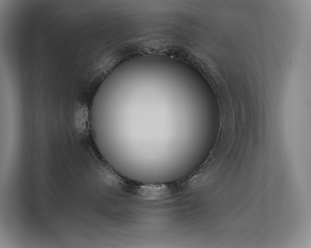X0000111780480200907231126