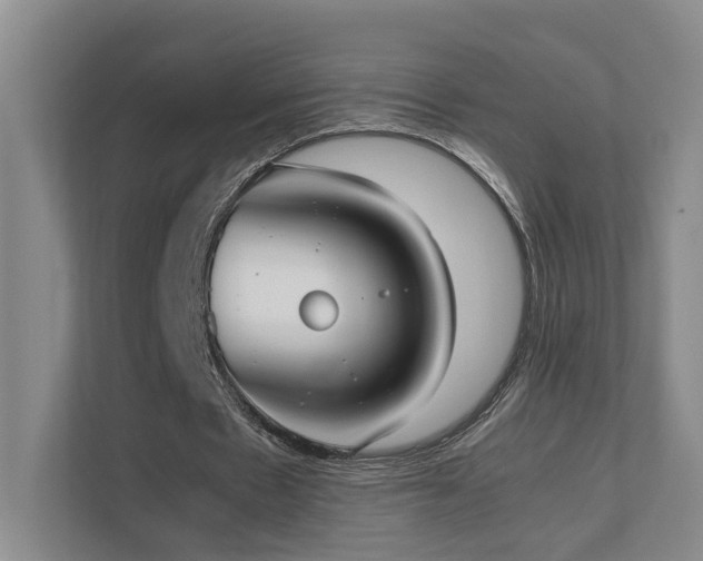 X0000111780481200907231126