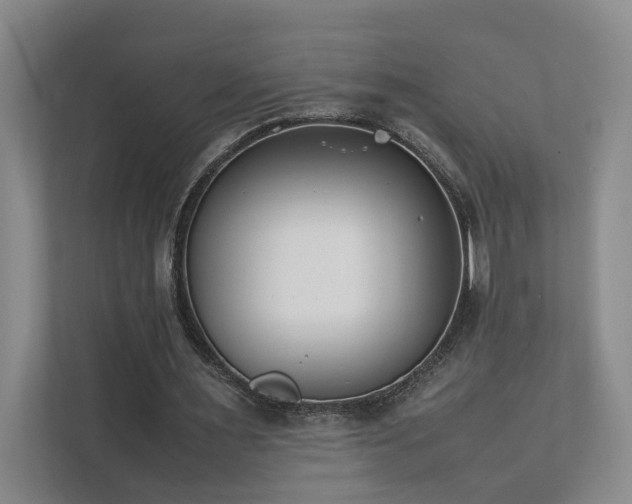 X0000111780483200907231126
