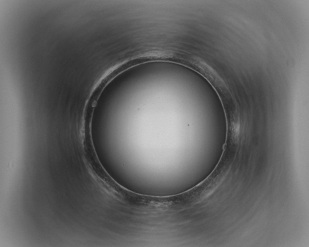 X0000111780484200907231126