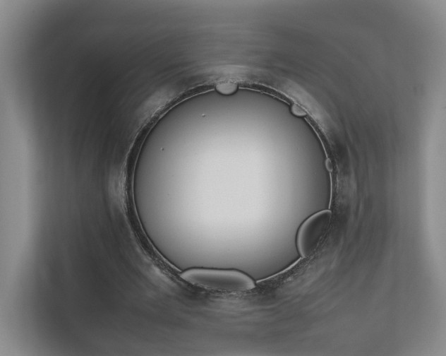 X0000111780485200907231126