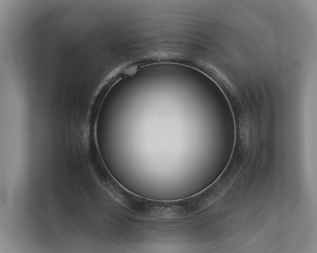 X0000111780488200907231126