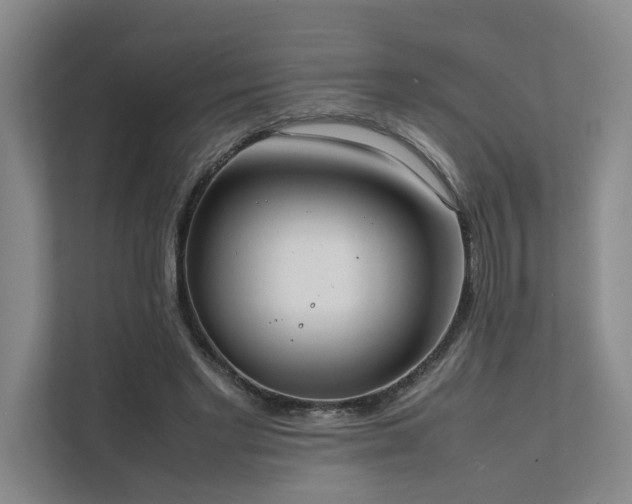 X0000111780493200907231126