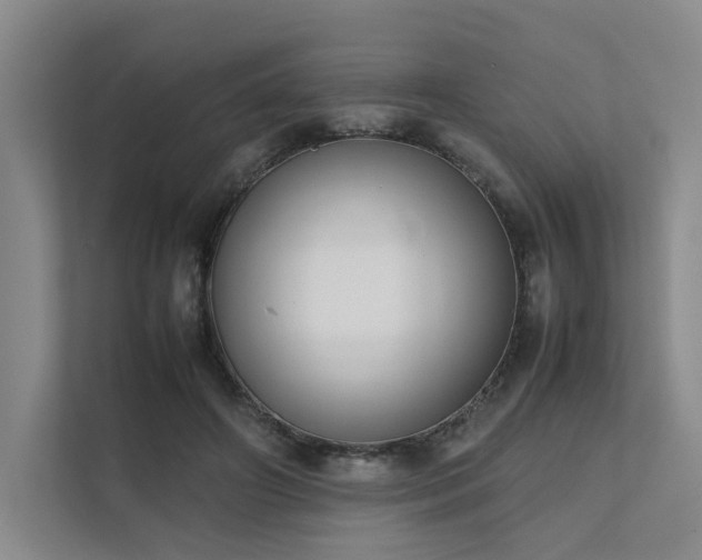 X0000111780498200907231126