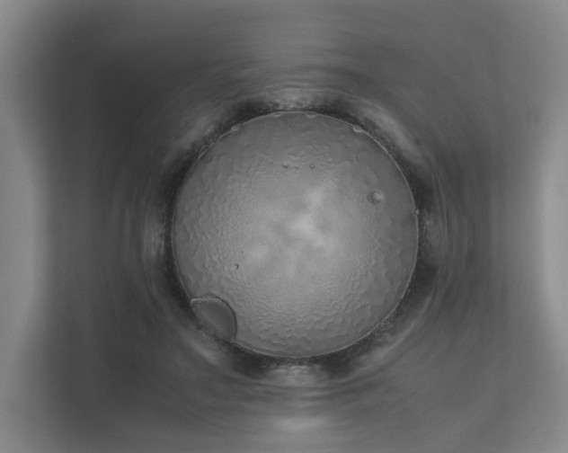 X0000111780499200907231126