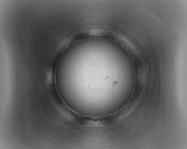 X0000111780502200907231125