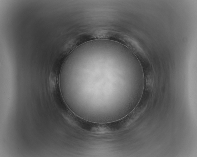 X0000111780503200907231125