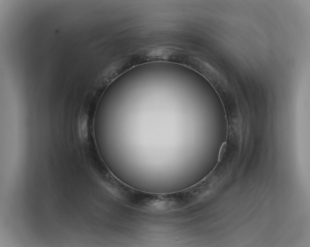 X0000111780504200907231125