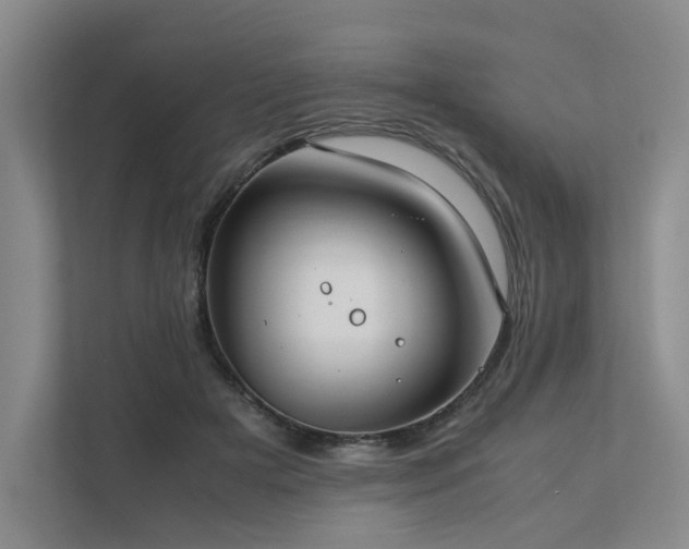 X0000111780505200907231125