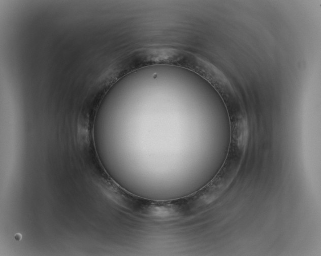 X0000111780510200907231125