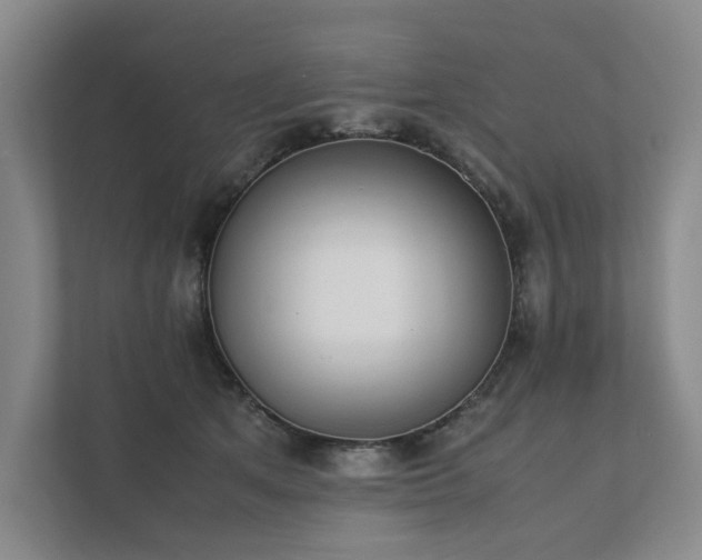 X0000111780513200907231125