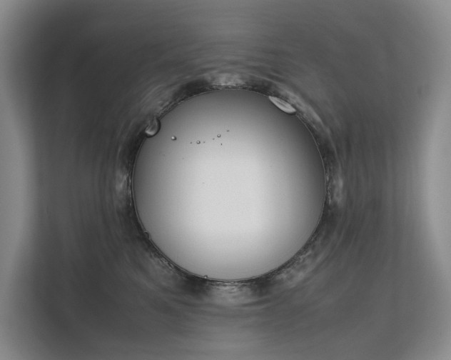 X0000111780521200907231125