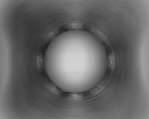 X0000111780522200907231125