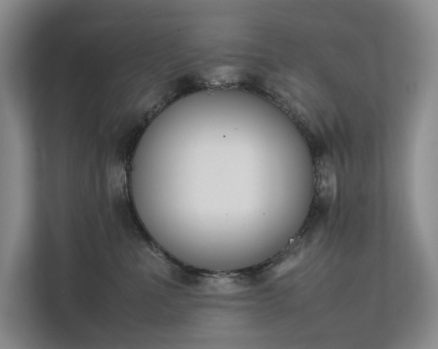 X0000111780523200907231125