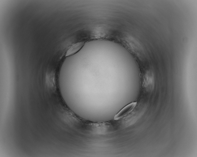 X0000111780524200907231125