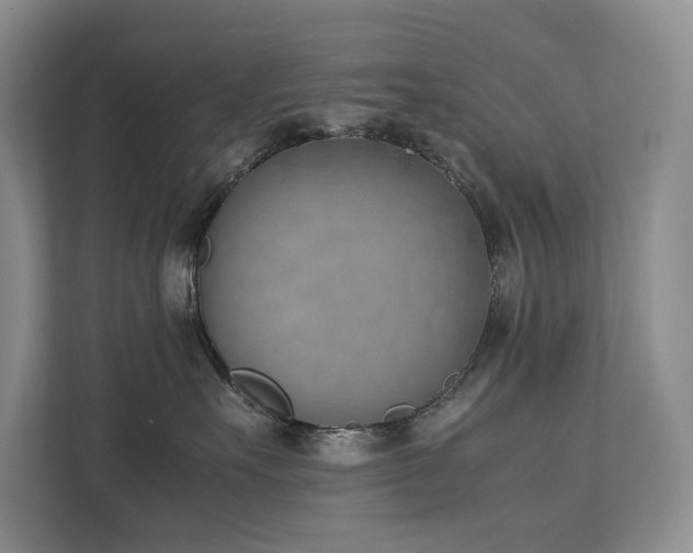 X0000111780527200907231125