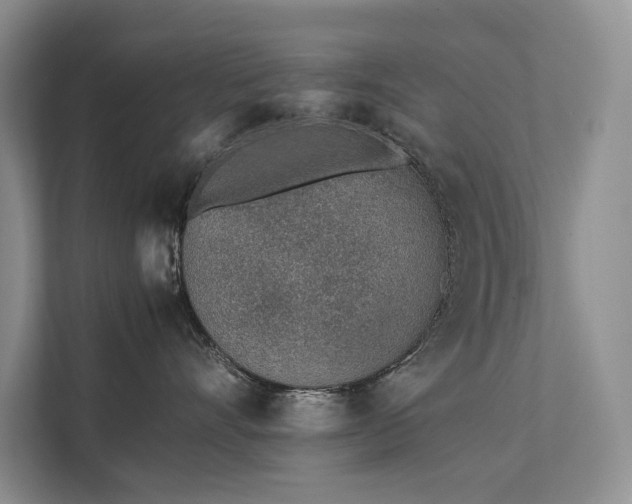 X0000111780528200907231125