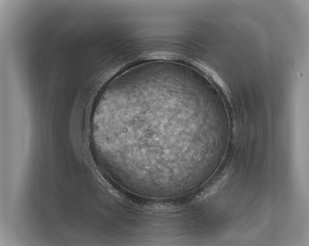 X0000111780529200907231125