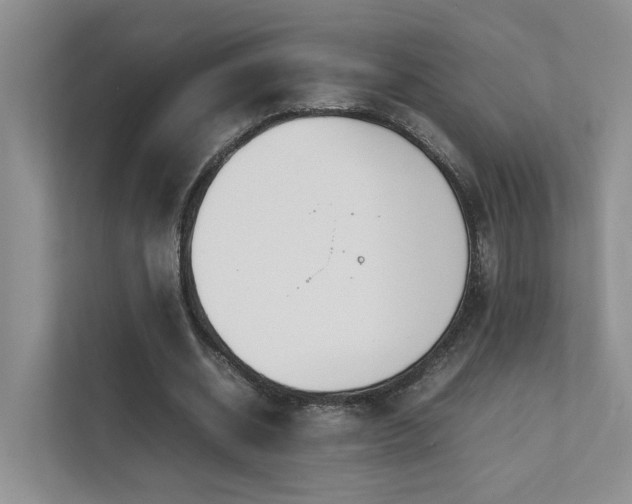 X0000111780534200907231125