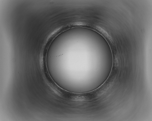 X0000111780535200907231125