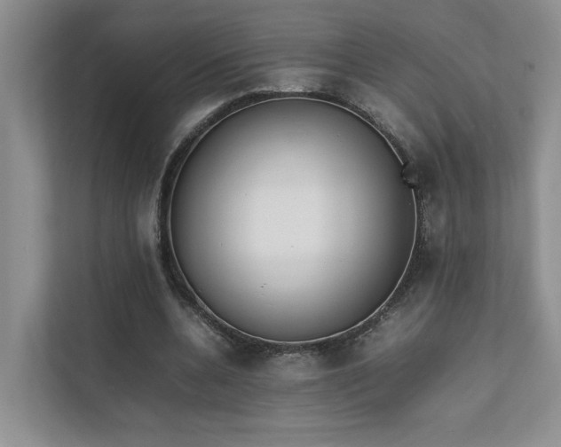 X0000111780536200907231125
