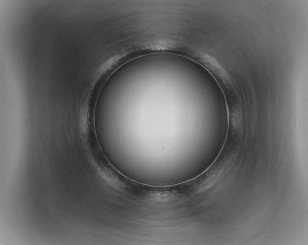 X0000111780540200907231125