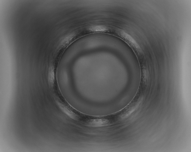 X0000111780541200907231125
