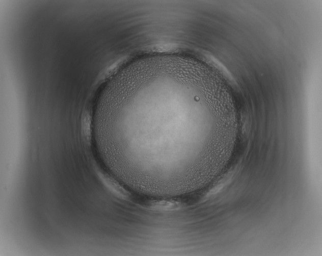X0000111780542200907231125