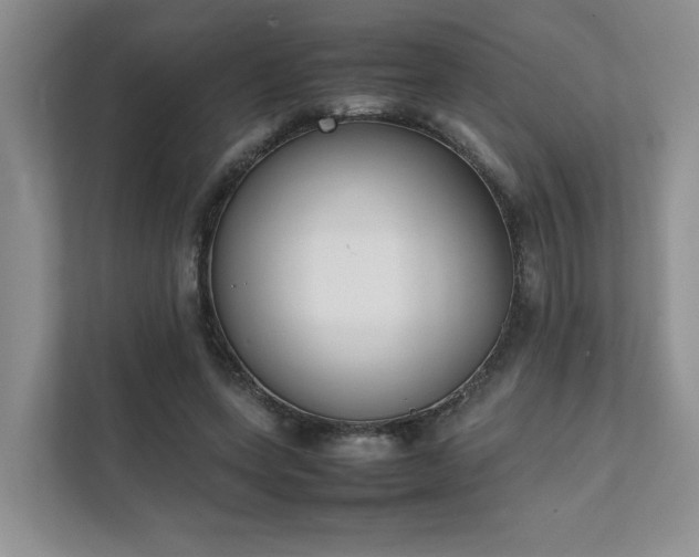 X0000111780543200907231125