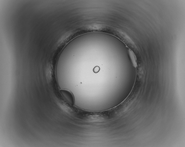 X0000111780544200907231125