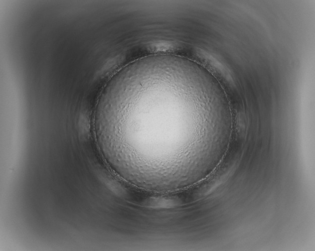 X0000111780545200907231125