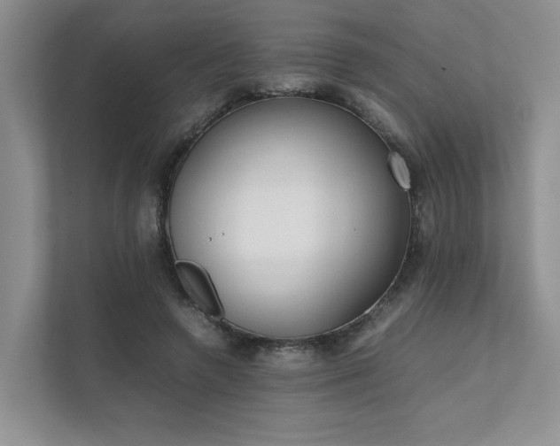 X0000111780546200907231125