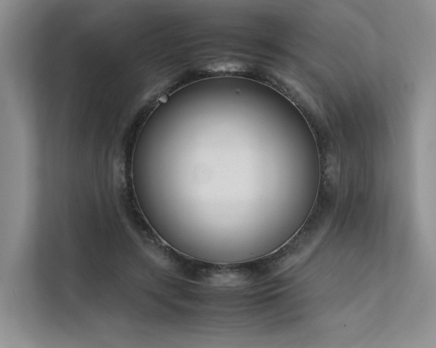 X0000111780547200907231125