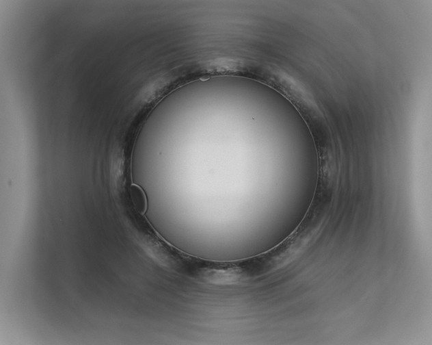X0000111780548200907231125