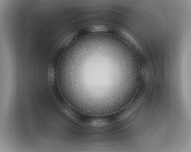 X0000111780549200907231125