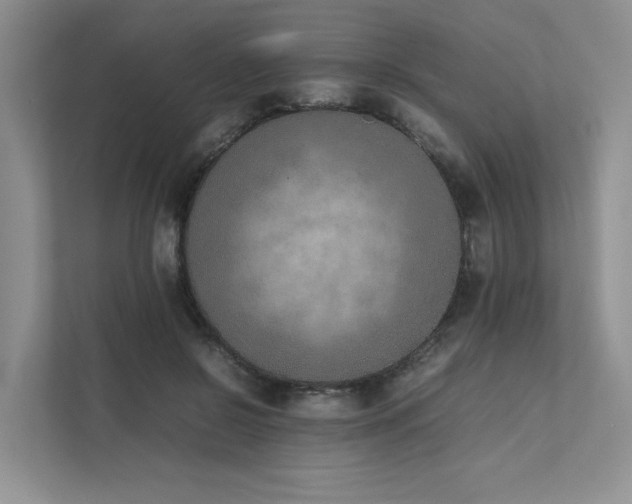 X0000111780550200907231125
