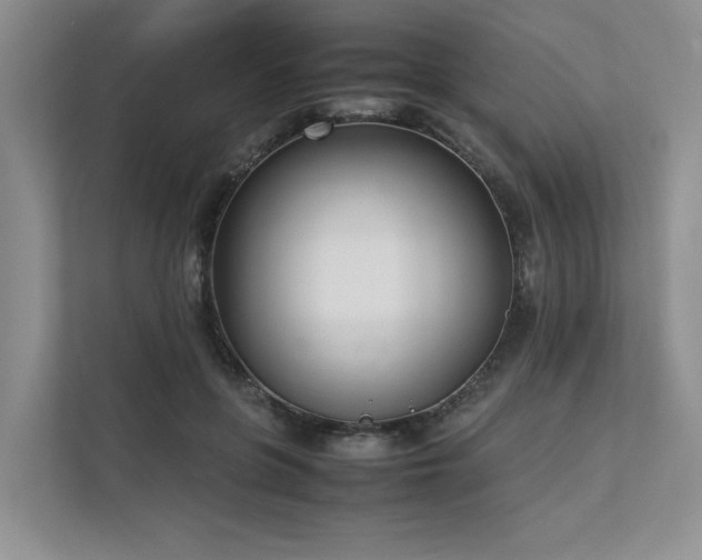 X0000111780551200907231125