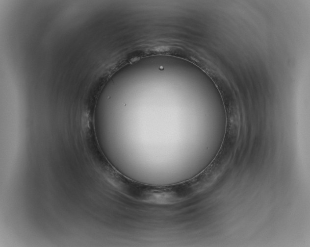 X0000111780555200907231125