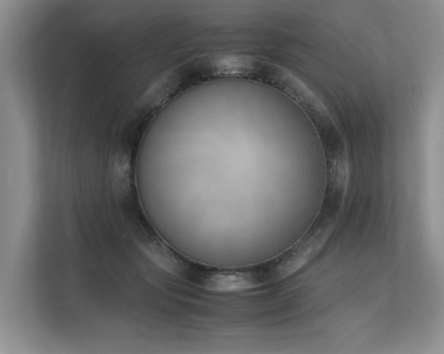 X0000111780557200907231125